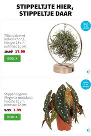 Intratuin folder week 51 Pagina 2