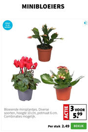 Intratuin folder week 51 Pagina 3