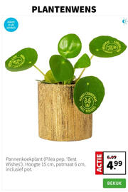 Intratuin folder week 51 Pagina 4