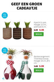 Intratuin folder week 51 Pagina 5