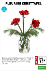 Intratuin folder week 51 Pagina 6