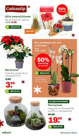 Welkoop folder week 51 Pagina 8