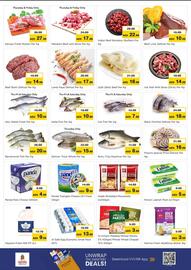 Nesto catalogue Page 3