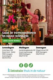 Intratuin folder week 51 Pagina 13