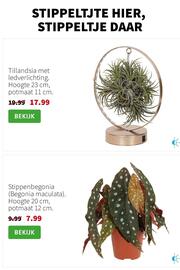 Intratuin folder week 51 Pagina 2