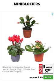 Intratuin folder week 51 Pagina 3