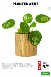 Intratuin folder week 51 Pagina 4