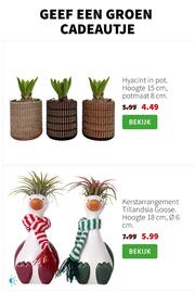 Intratuin folder week 51 Pagina 5