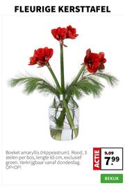 Intratuin folder week 51 Pagina 6