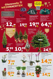 Globus Baumarkt Prospekt Seite 2