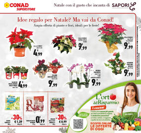 Volantino Conad Superstore Pagina 17