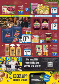 E-Center Prospekt Seite 13