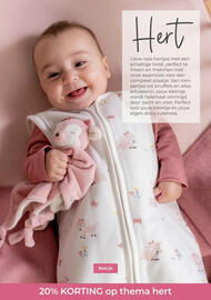 Prenatal folder Pagina 18