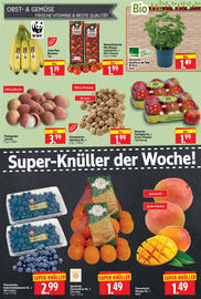 Edeka Herkules Prospekt woche 51 Seite 5