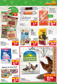 Edeka Herkules Prospekt woche 51 Seite 7