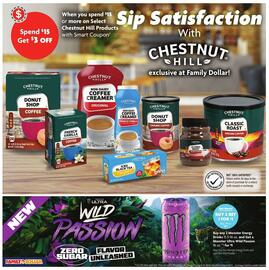 Family Dollar weekly ad week 51 Page 3