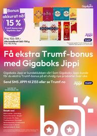 Gigaboks kundeavis uke 51 Side 8