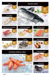 Cora folder Pagina 8