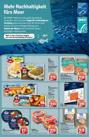 REWE DE tilbudsavis uge 51 Side 25