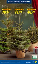 Lidl gazetka Strona 31