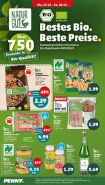 PENNY DE folder week 51 Pagina 16