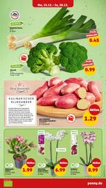 PENNY DE folder week 51 Pagina 5