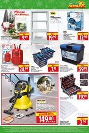 Herkules Baumarkt Prospekt woche 51 Seite 8