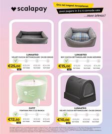 Volantino Arcaplanet Pagina 38