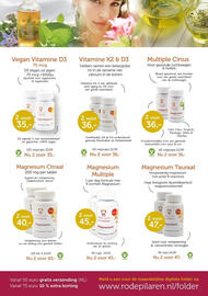 De Rode Pilaren folder Pagina 7