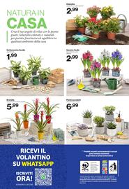 Volantino In'S Mercato Pagina 24