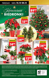 Biedronka gazetka tydzień 51 Strona 74