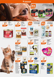 Müller Flugblatt woche 51 Seite 8