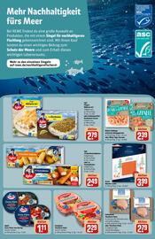 Rewe DE folder week 51 Pagina 19