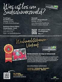 Schmidt's Märkte Prospekt woche 51 Seite 27