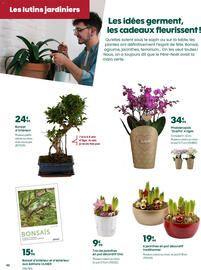 Catalogue Truffaut page 2