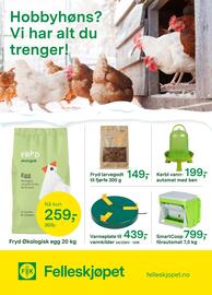 Felleskjøpet kundeavis Side 16