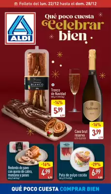 Folleto ALDI (válido hasta el 28-12)