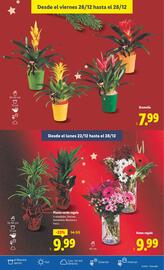 Catálogo Lidl semana 52 Página 53