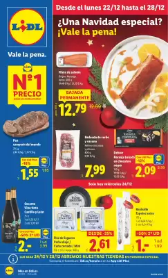 Catálogo Lidl (válido hasta el 28-12)