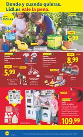 Catálogo Lidl | de Bazar Página 4