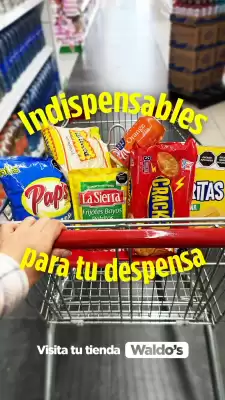 Catálogo Waldos (válido hasta 15-12)