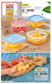 Catálogo Azzorti Página 239