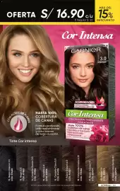 Catálogo Azzorti Página 146