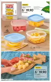 Catálogo Azzorti Página 239