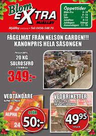 Extra Mjällby Stormarknad reklamblad vecka 51 Sida 25