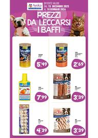 Volantino Ayoka Pagina 17