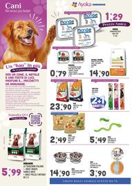 Volantino Ayoka Pagina 4