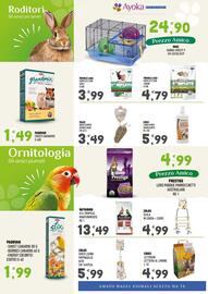 Volantino Ayoka Pagina 6