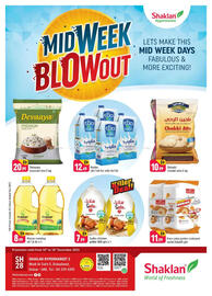 Shaklan leaflet Page 1