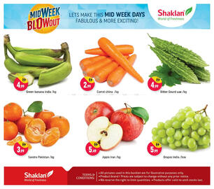 Shaklan leaflet Page 3